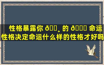 性格暴露你 🌸 的 💐 命运（性格决定命运什么样的性格才好吗）